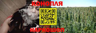 ECSTASY Бийск