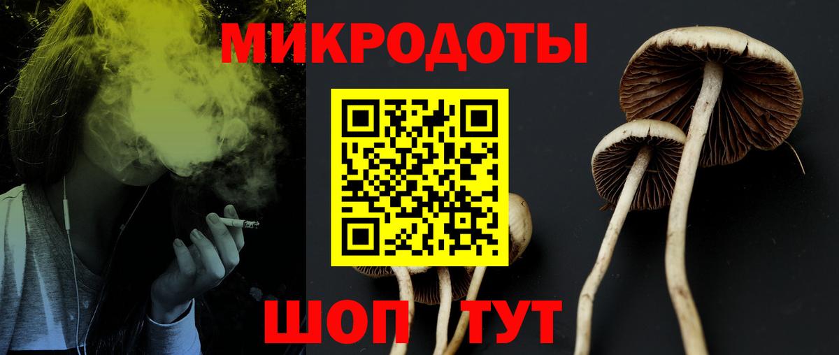 Галлюциногенные грибы GOLDEN TEACHER Вятские Поляны